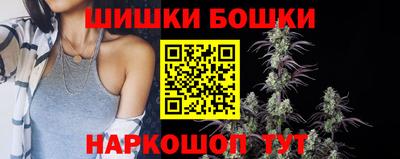 прущие грибы Новокубанск