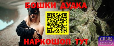 прущие грибы Новокубанск