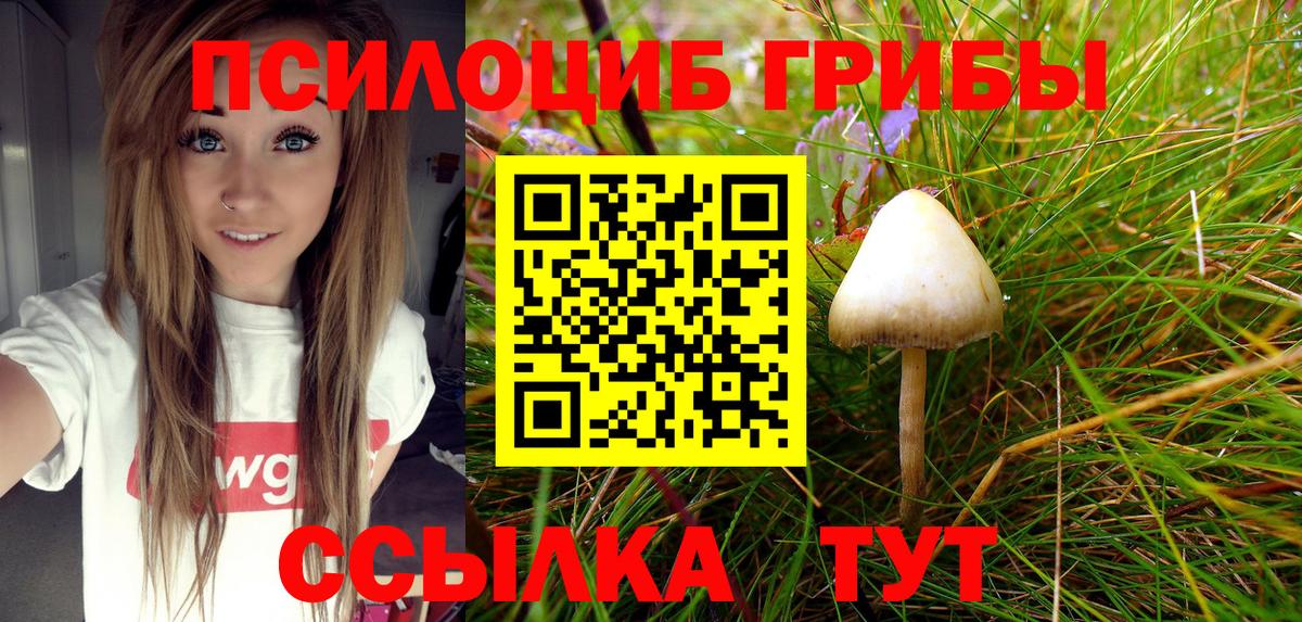 Псилоцибиновые грибы MAGIC MUSHROOMS Славгород